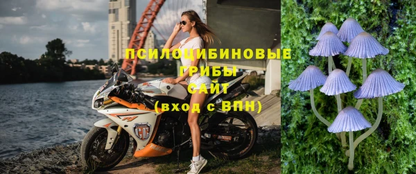 гидра Магадан