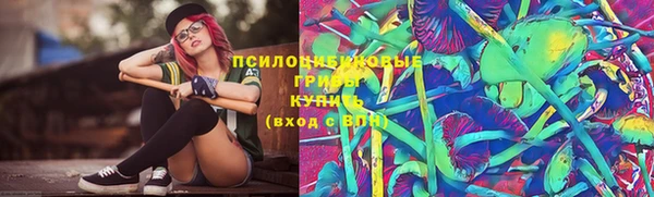 ГАЛЛЮЦИНОГЕННЫЕ ГРИБЫ Алзамай