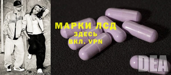 ГАЛЛЮЦИНОГЕННЫЕ ГРИБЫ Алзамай