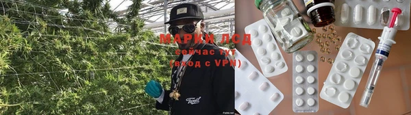 ГАЛЛЮЦИНОГЕННЫЕ ГРИБЫ Алзамай