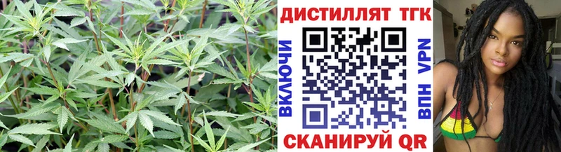 ссылка на мегу рабочий сайт  Киров  даркнет формула  ТГК жижа 