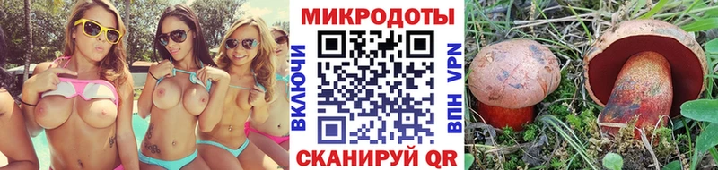 KRAKEN ТОР купить наркотики сайты Киров Галлюциногенные грибы мицелий
